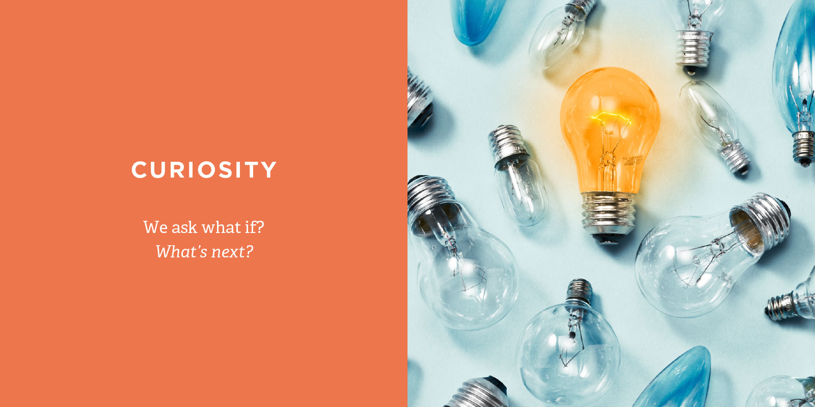 Why Fossil Group
