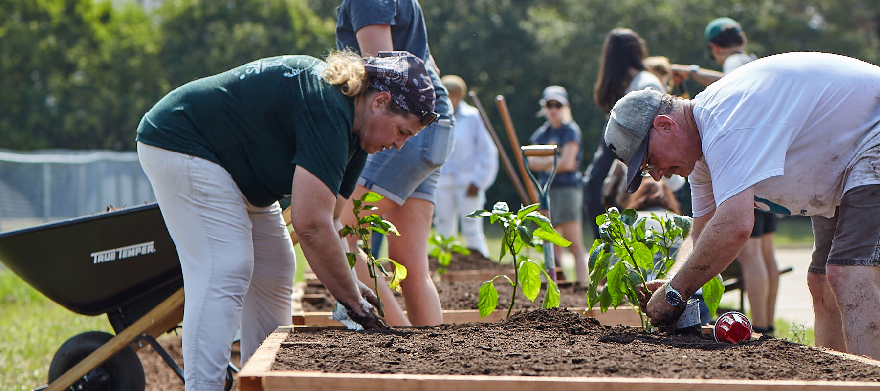 Enhancing Communities